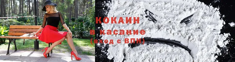 дарнет шоп  Шахты  Cocaine Fish Scale 