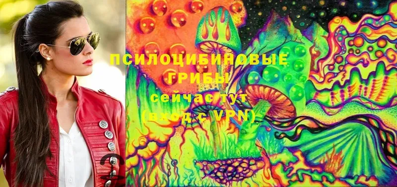 мега как войти  Шахты  Галлюциногенные грибы MAGIC MUSHROOMS 